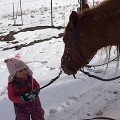 【動画】可愛い幼女と心優しい馬の交流が愛らしい。幼女に手綱を引かれても、ゆっくりとペースを合わせながら歩いてくれる馬の映像。