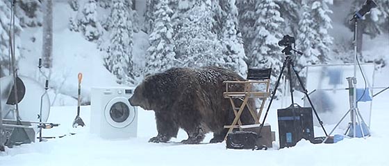 【動画】撮影現場にクマが現れ大慌て！オチまで含めて面白い、洗濯機の驚異的な洗浄力を訴求するSamsungのCM動画『 Bear Does Laundry 』