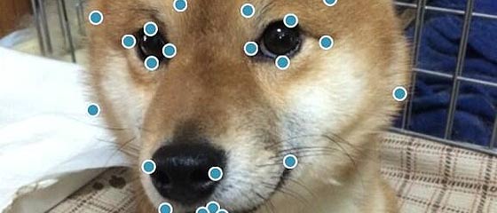 【ｵｽｽﾒ】ホント誰？ｗｗｗ ワンタップからでも顔写真を簡単にメイクアップできるアプリ『 Perfect365 』を使って、愛犬の写真を魔改造したメーキャップ写真が面白い！