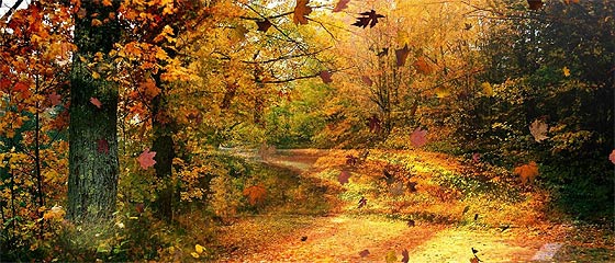 【素材】深まる秋にぴったりな、色鮮やかな紅葉の美しいデスクトップ壁紙素材『 29 Autumn Wallpapers For Your Desktop 』