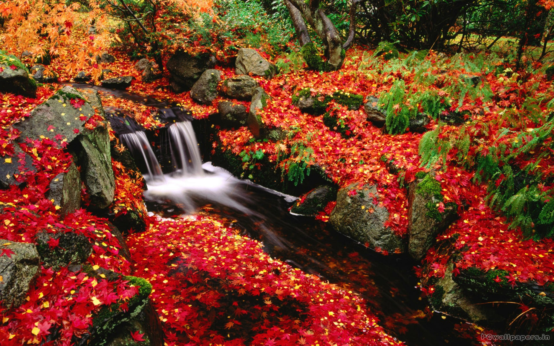 素材 深まる秋にぴったりな 色鮮やかな紅葉の美しいデスクトップ壁紙素材 29 Autumn Wallpapers For Your Desktop Happy Word