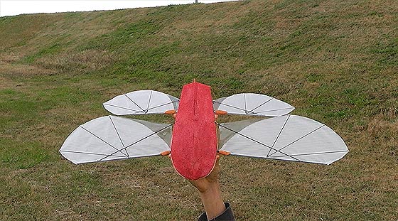 天空の城ラピュタにも出てきたオーニソプター『フラップター』の、空飛ぶラジコンモデル映像2