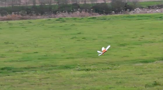 天空の城ラピュタにも出てきたオーニソプター『フラップター』の、空飛ぶラジコンモデル映像5