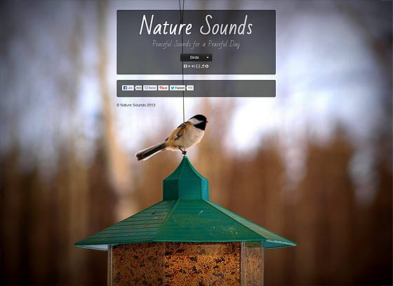 『雨の音・波の音・川のせせらぎ・鳥のさえずり』をエンドレスに流してくれるウェブサイト『 Nature Sounds 』
