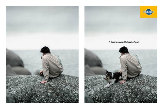 犬のいる風景と犬のいない風景を巧みに対比したペディグリーのシンプルなポスター広告1