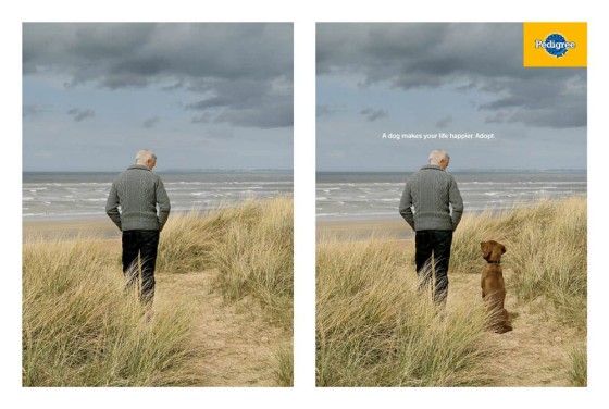 犬のいる風景と犬のいない風景を巧みに対比したペディグリーのシンプルなポスター広告2